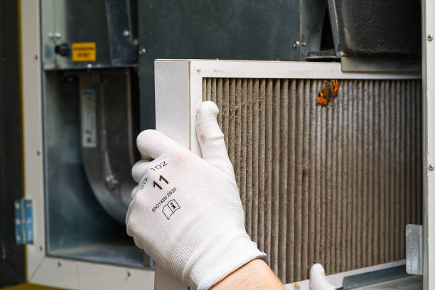 Best Emergency Air Duct Cleaning  in Weston, WV